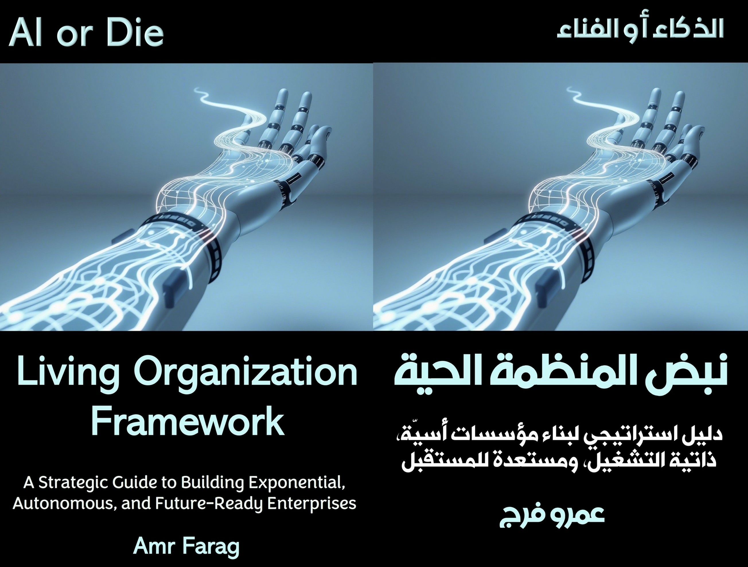 Living Organization Framework Book Cover